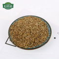 China best quality cumin seed spices supplier